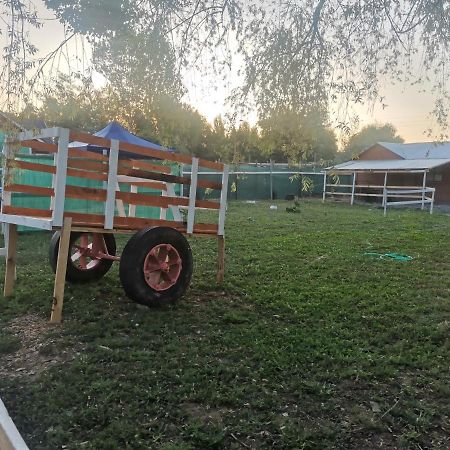 Cabana El Quillay Lägenhet Linares Exteriör bild